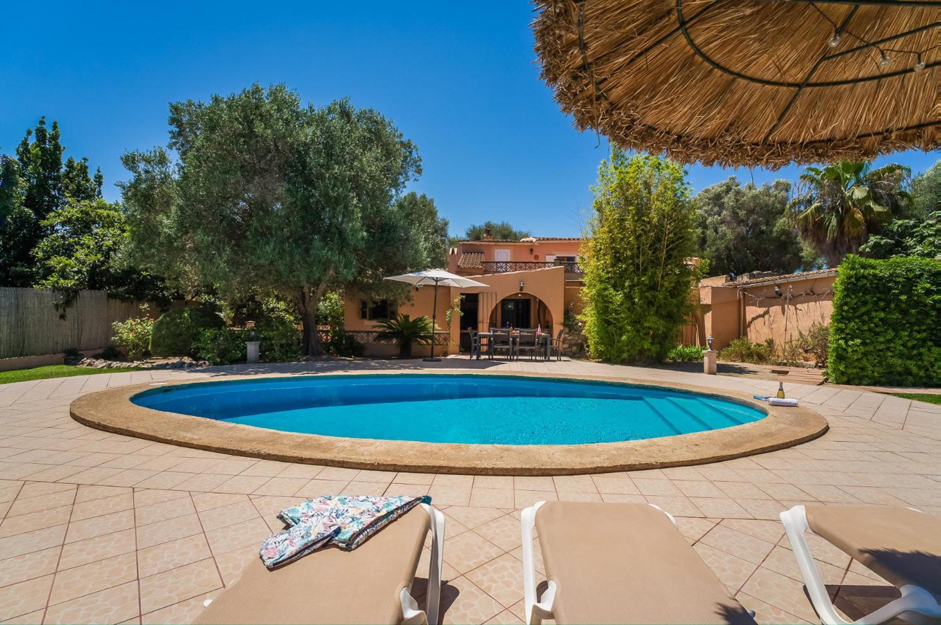 Ideal Mallorca - Toni * Alcudia (Mallorca)
