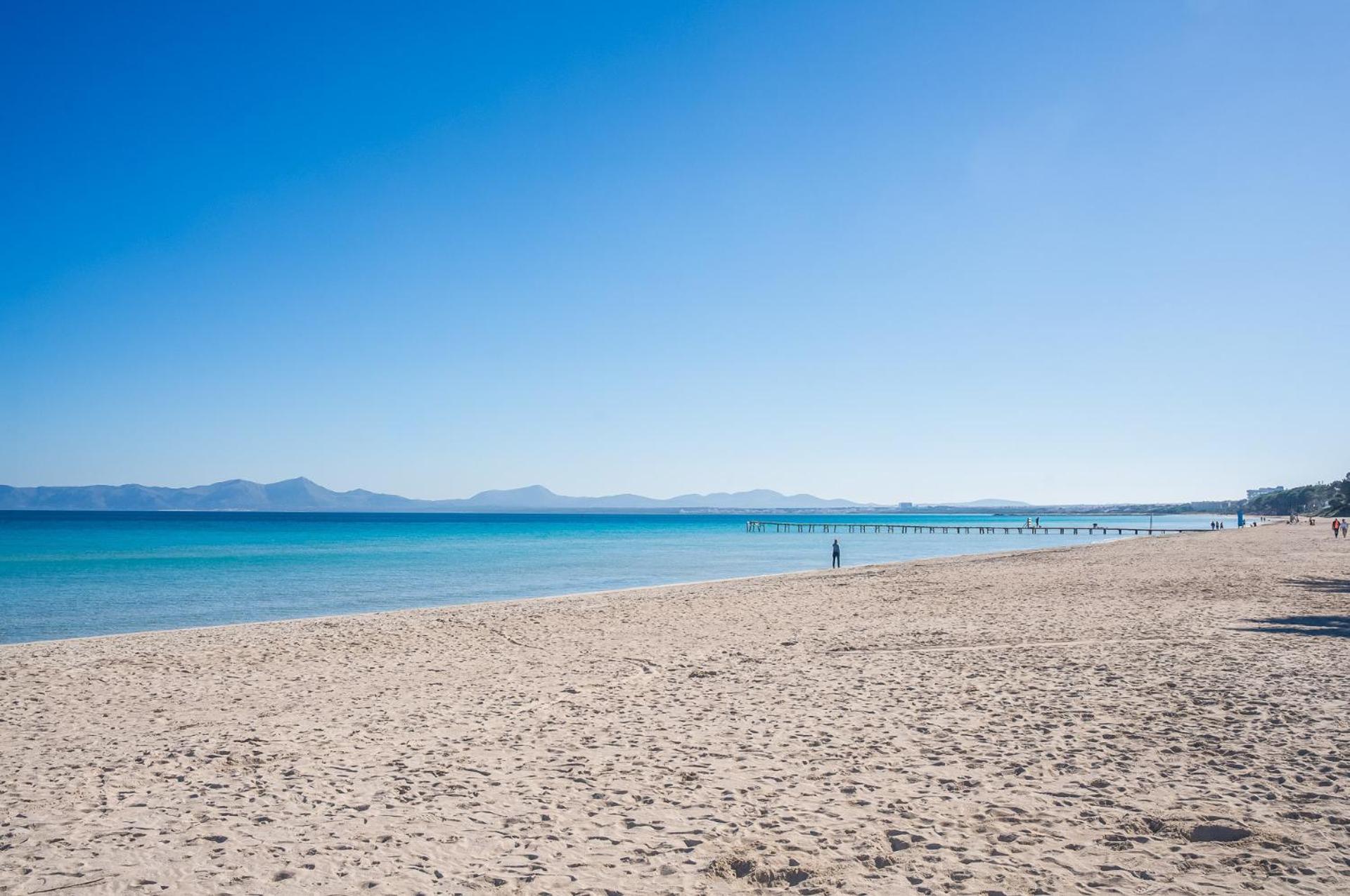 Ideal Mallorca - Toni * Alcudia (Mallorca)